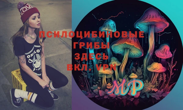ПСИЛОЦИБИНОВЫЕ ГРИБЫ Арсеньев