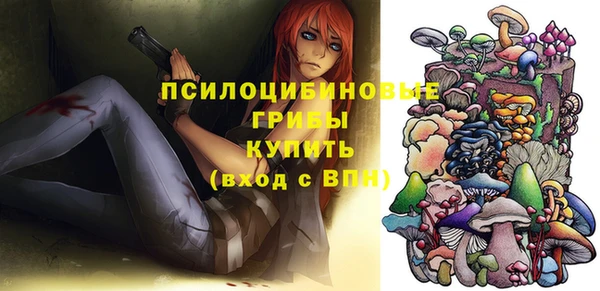 ПСИЛОЦИБИНОВЫЕ ГРИБЫ Арсеньев