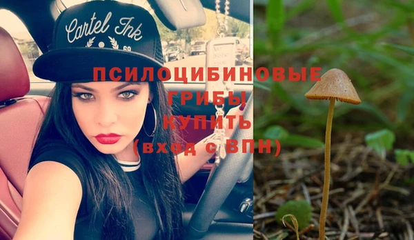 тгк Аркадак